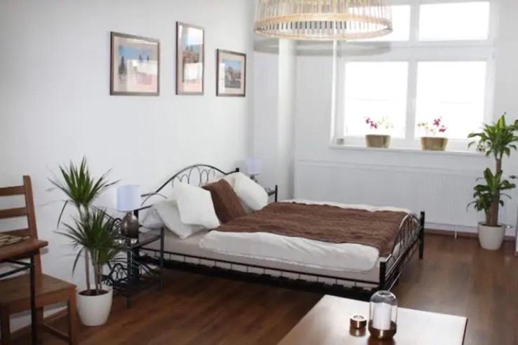 Appartement Lenka's Cozy Red + Lenka's Cozy Gold Praag